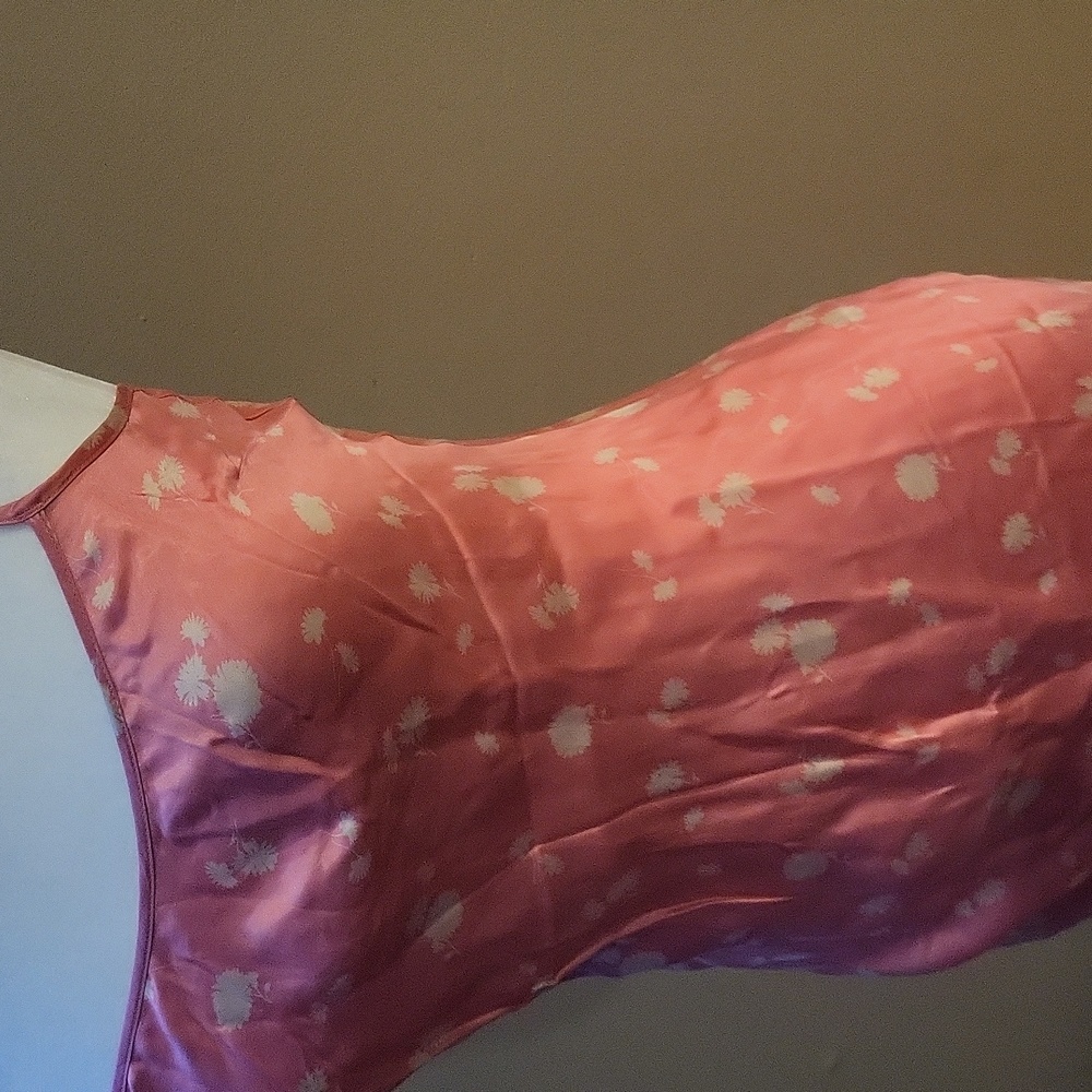 Victoria's Secret Nighty - Picture 4 of 10